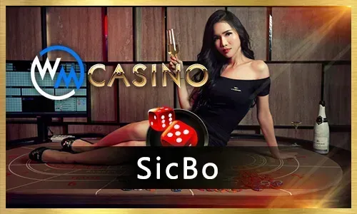 Live Casino Provider